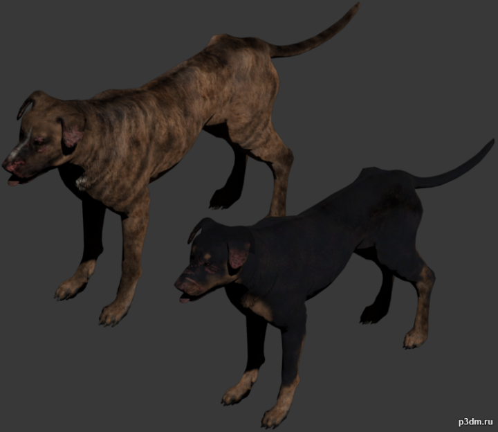 Raider Dog 3D Model