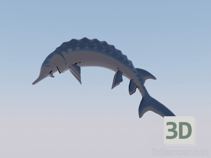 3D-Model 
Fish