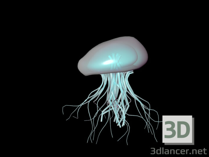 3D-Model 
jellyfish