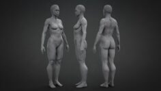 African Female Mesh Free 3D Model