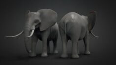 Elephant Base Mesh Free 3D Model