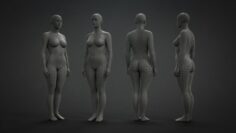 Female Base Mesh Free 3D Model