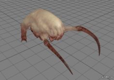 Headcrab 3D Model