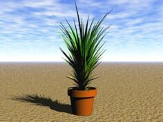 Plant 07 Free 3D Model