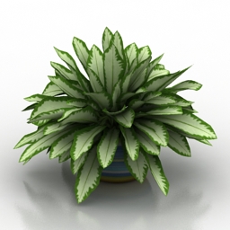 Plant 3D Model