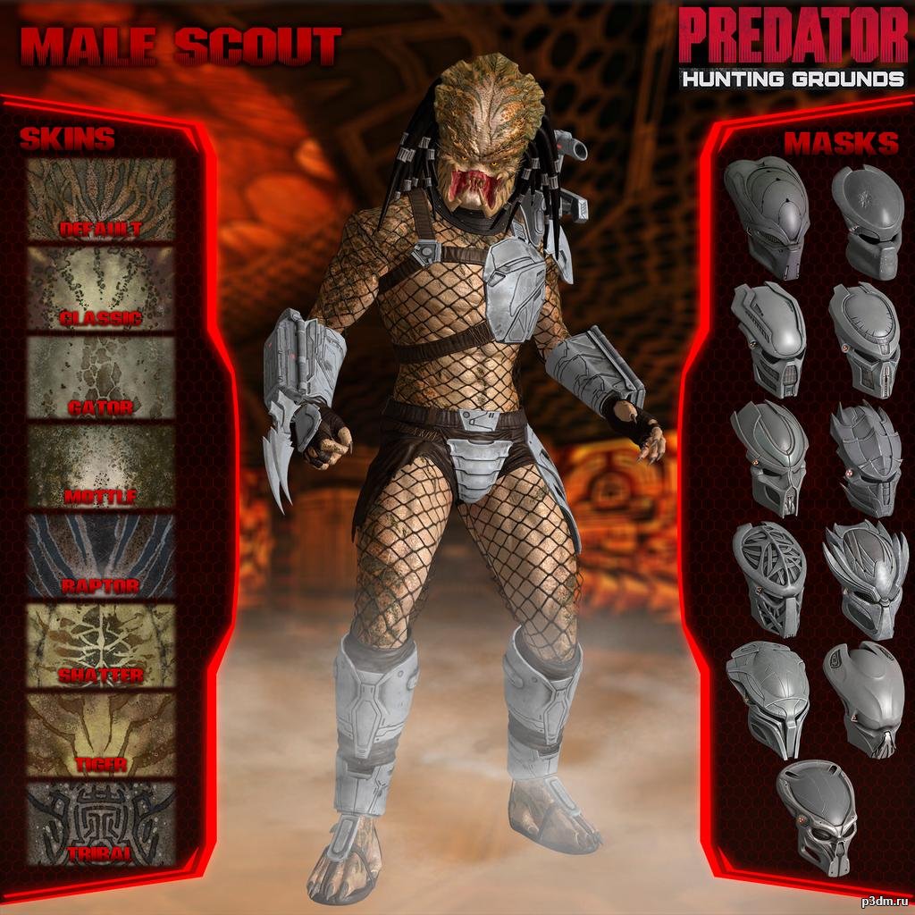 Predator Scout 3D Model