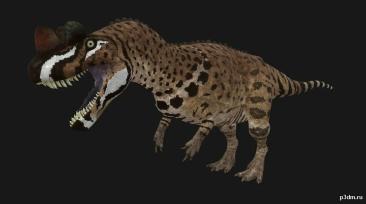 Ceratosaurus dentisulcatus 3D Model