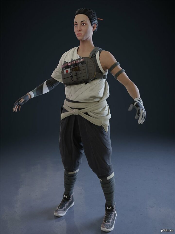 Hibana Onkochishin Elite 3D Model