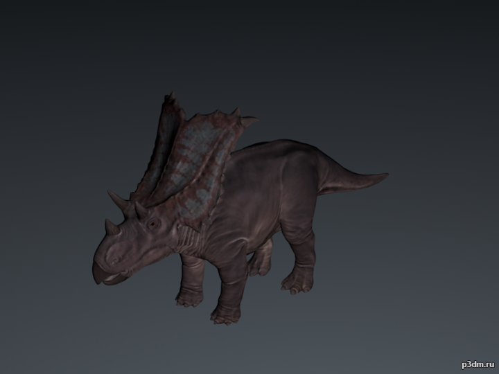 Chasmosaurus 3D Model