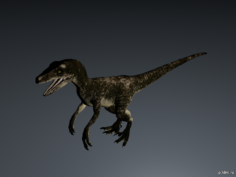 Dakotaraptor 3D Model