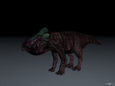 Leptoceratops gracilis 3D Model