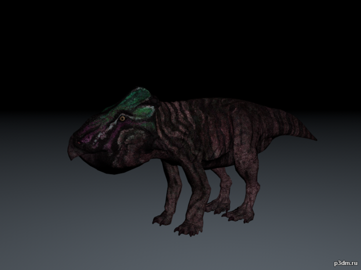 Leptoceratops gracilis 3D Model