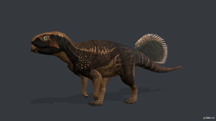 Psittacosaurus.sp 3D Model