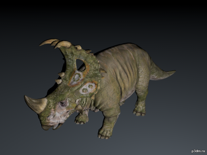 Sinoceratops 3D Model