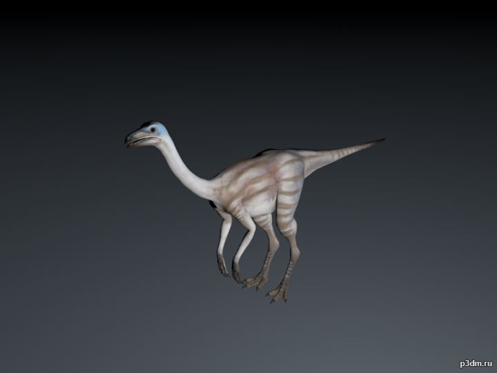 Struthiomimus 3D Model