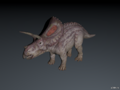 torosaurus 3D Model