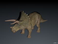 Triceratops 3D Model