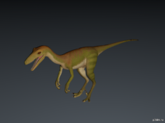 Troodon 3D Model