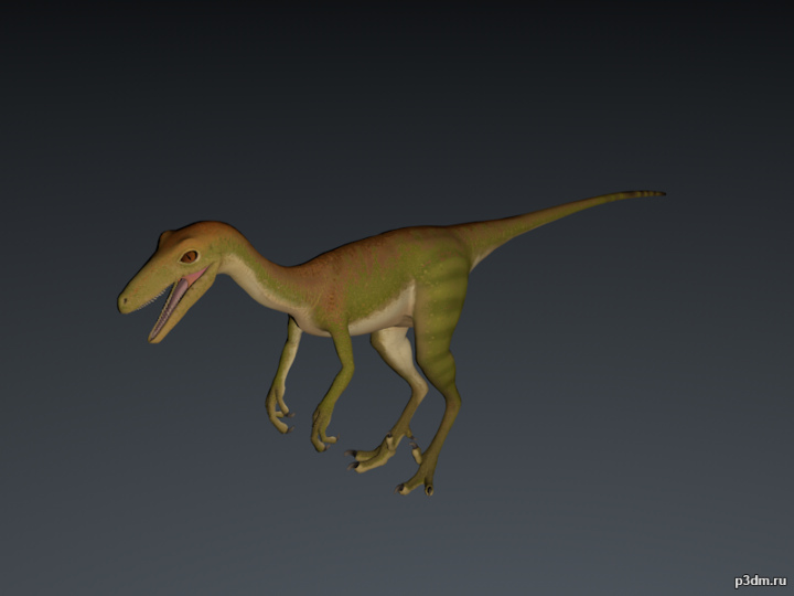 Troodon 3D Model