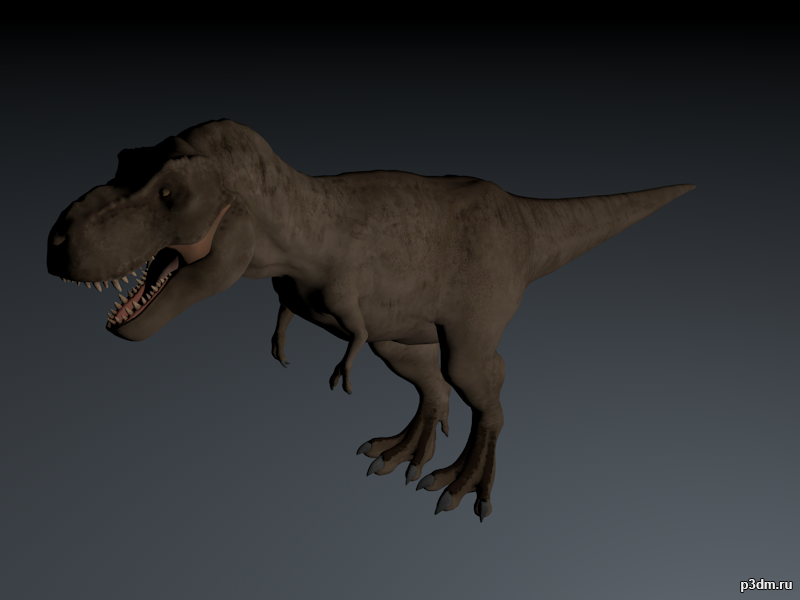 Tyrannosaurus 3D Model