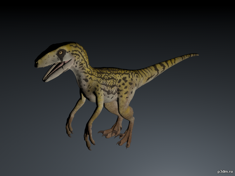 Utahraptor 3D Model