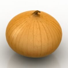 Onion 3D Model