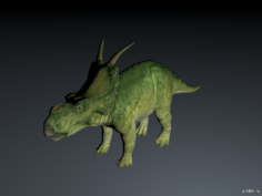 Achelousaurus 3D Model