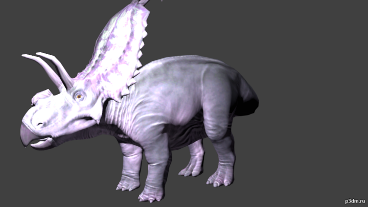 Albertaceratops 3D Model