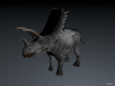 Bravoceratops 3D Model