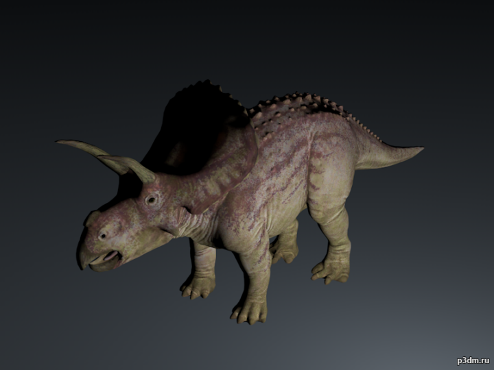 Diceratops 3D Model