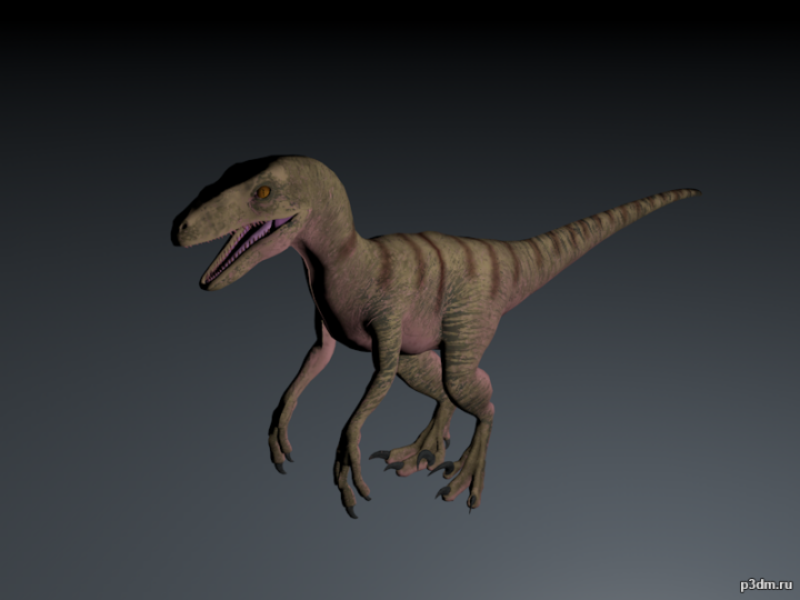 Eoraptor 3D Model