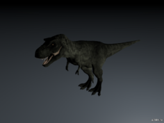 Gorgosaurus 3D Model