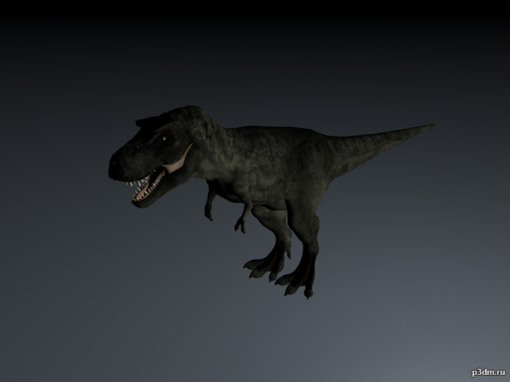 Gorgosaurus 3D Model