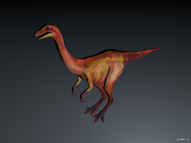 Kinnareemimus 3D Model