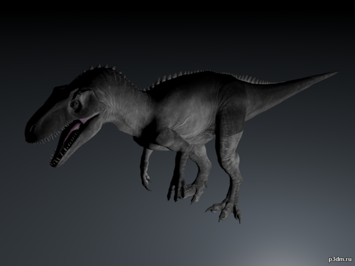 Neovenator 3D Model