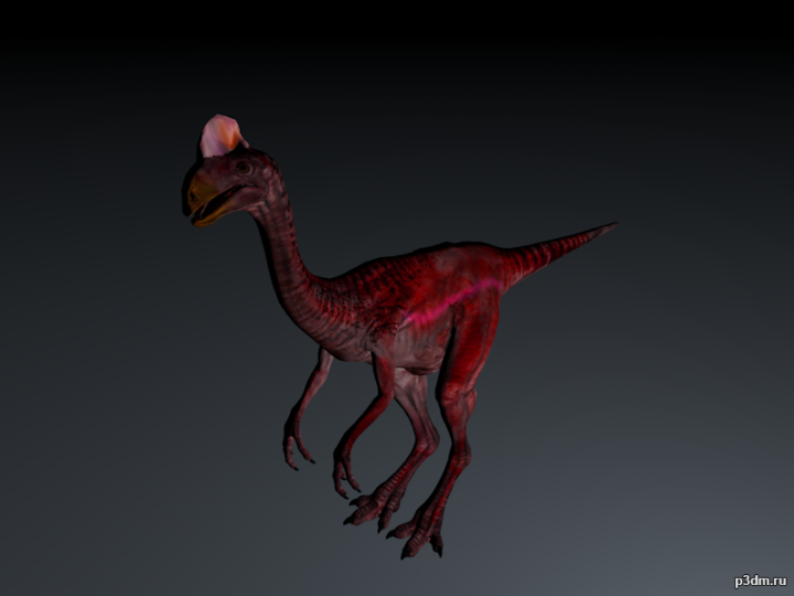 Oviraptor 3D Model