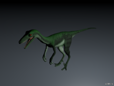 Pectinodon 3D Model