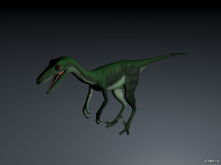 Pectinodon 3D Model