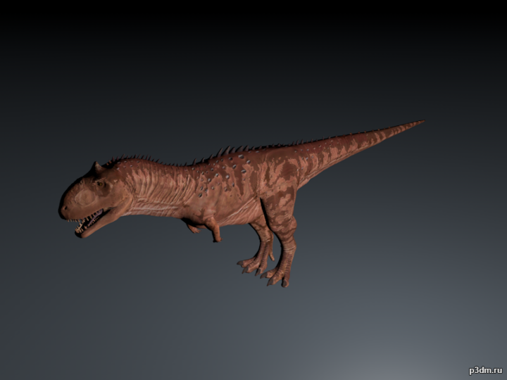 Rajasaurus 3D Model