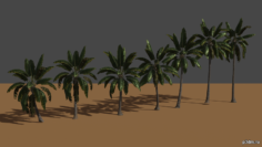Star Wars: Battlefront 2015 Palm trees 3D Model