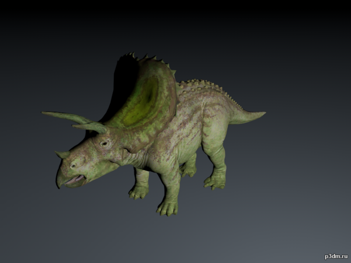 Titanoceratops 3D Model