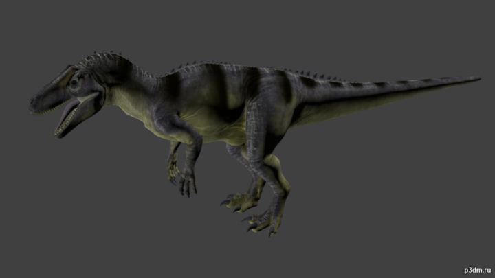 Torvosaurus 3D Model