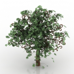 Tree 3D Model