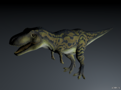 Daspletosaurus 3D Model