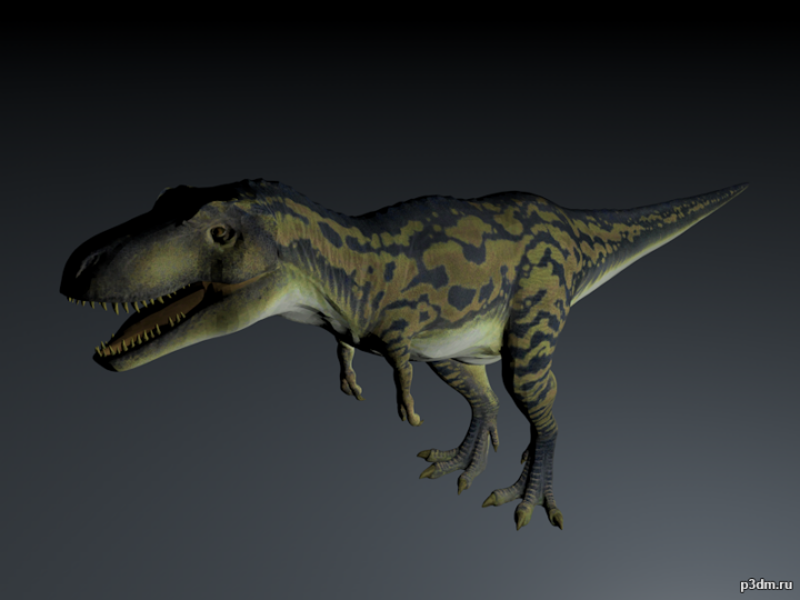 Daspletosaurus 3D Model