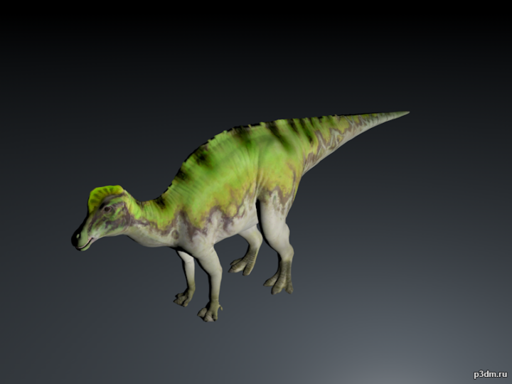 Nipponosaurus 3D Model