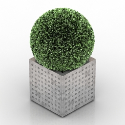 Plant 3D Model