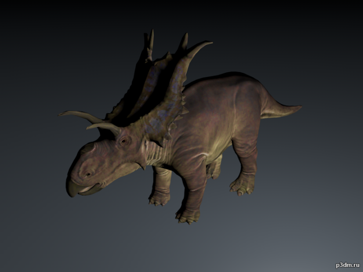 Xenoceratops 3D Model