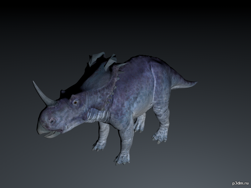 Monoclonius 3D Model