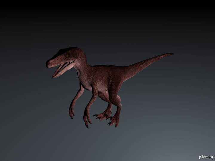 Austroraptor 3D Model